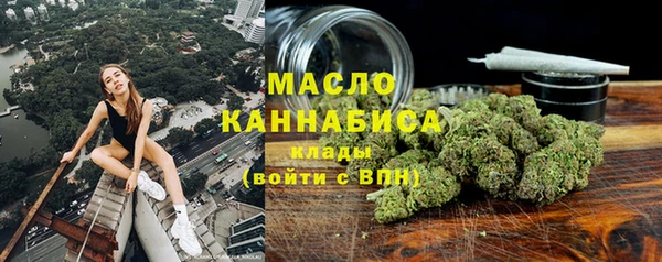 СК Дмитровск