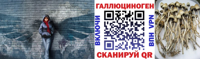 Галлюциногенные грибы GOLDEN TEACHER  Щёкино 